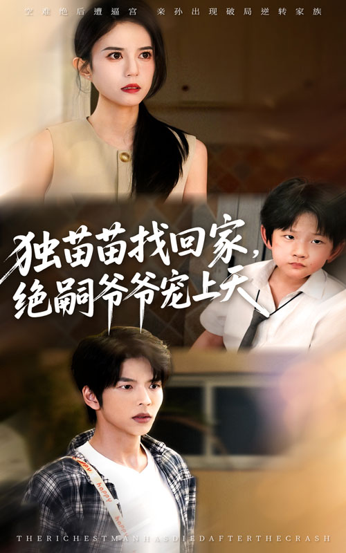 乐高幻影忍者 英文版