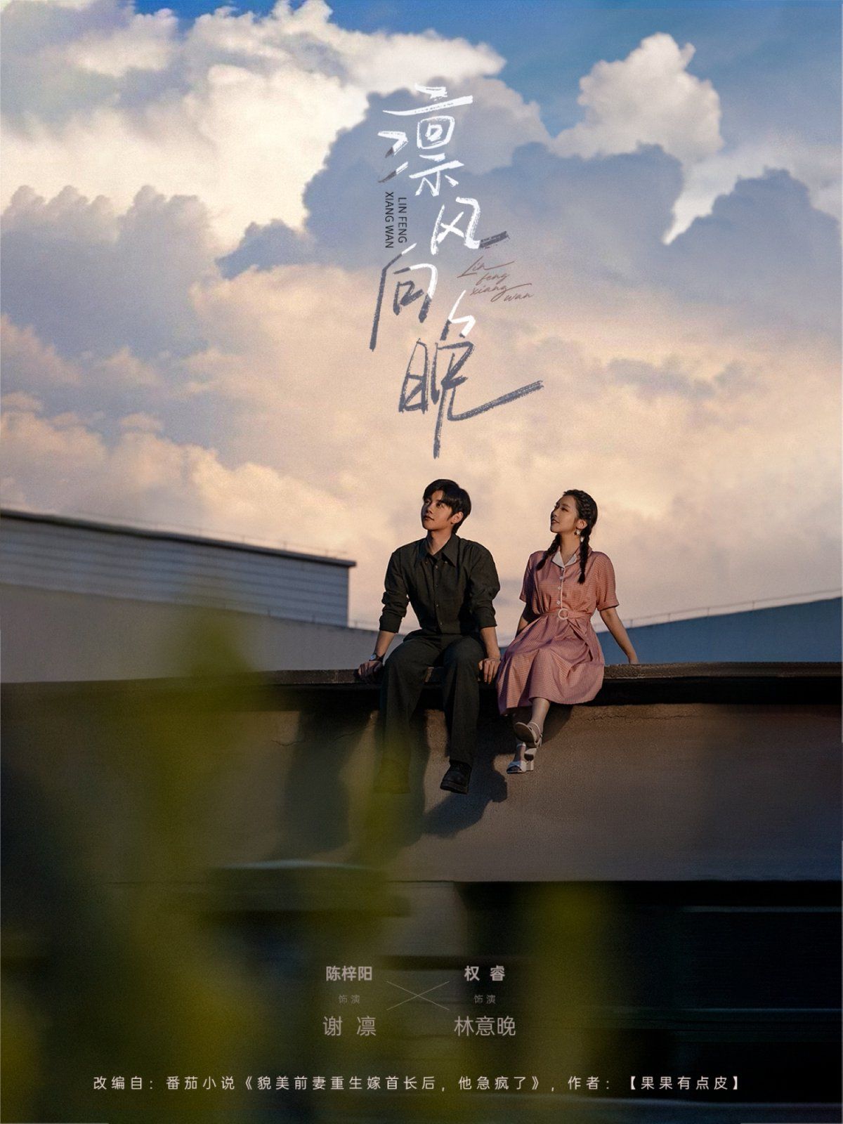 极光茶园之谜：新事物