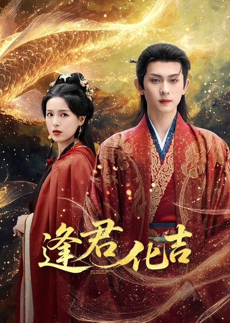 新老娘舅·我要问律师